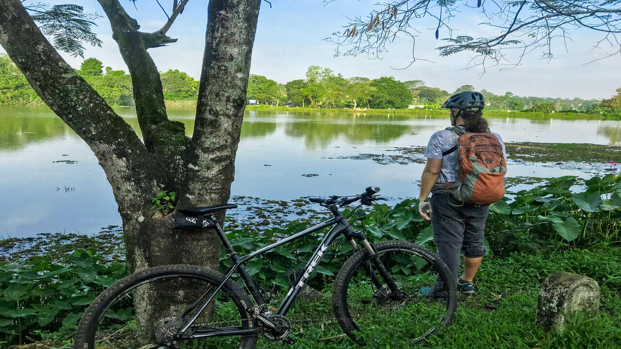 Cycling